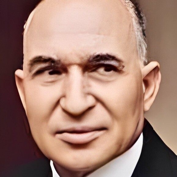 Mahmoud Fawzi