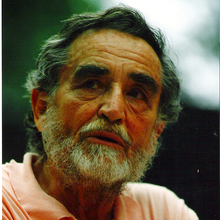 Vittorio Gassman