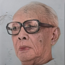 Djamaluddin Adinegoro