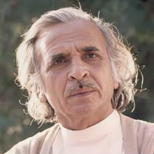 Afsar Madad Naqvi