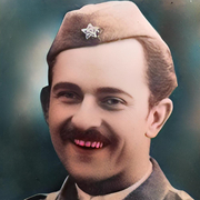 Karel Destovnik